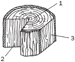 �������� ������� ������