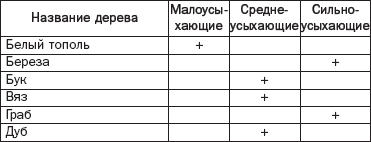 ������� ������ ������ ����� ��������