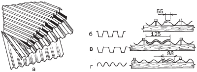 ���� �����������