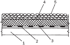 ������������ ������