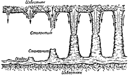 ������������� � ������� ������ ����� ��������� ������������ ������ ����������� � ����������� ����� �����������