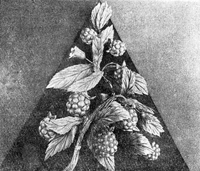 ����� ������