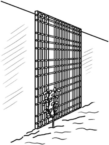 �������