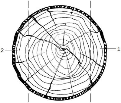 ������� ������ � ����