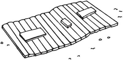 ���� ����������