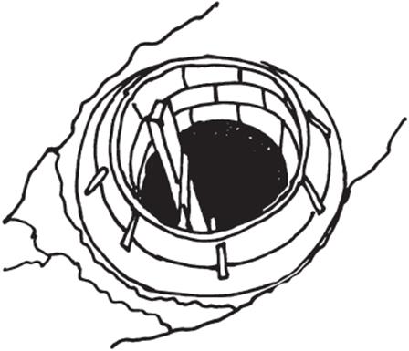 ������ ���� ������� �� ������� ��� ���